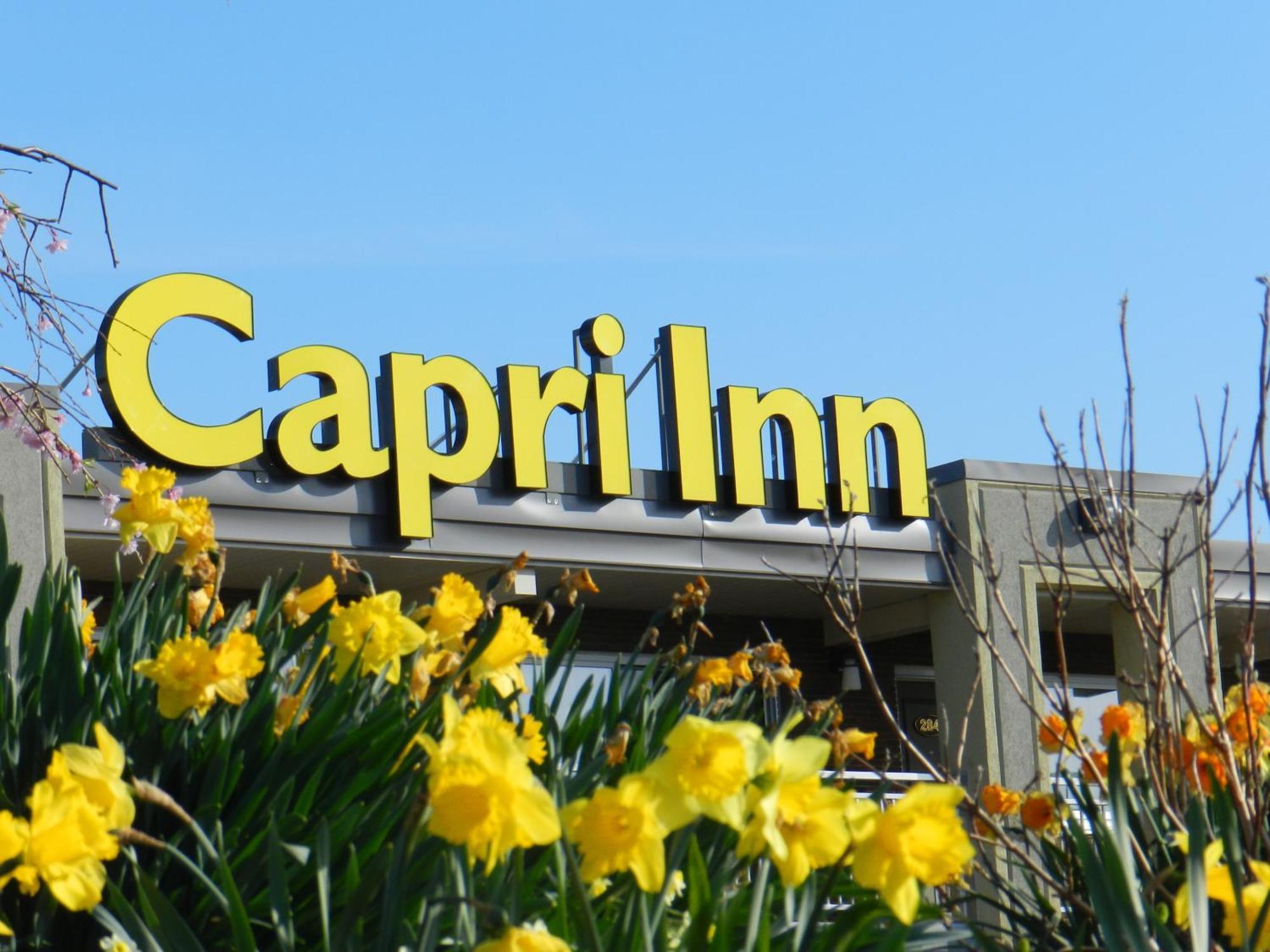 Capri Inn Sainte-Catherine Buitenkant foto